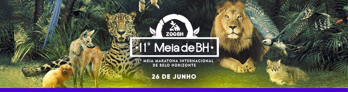 11ª Meia Maratona Internacional de Belo Horizonte