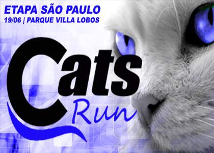 Cats Run SP