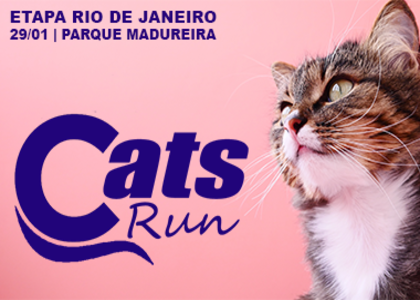 Cats Run RJ